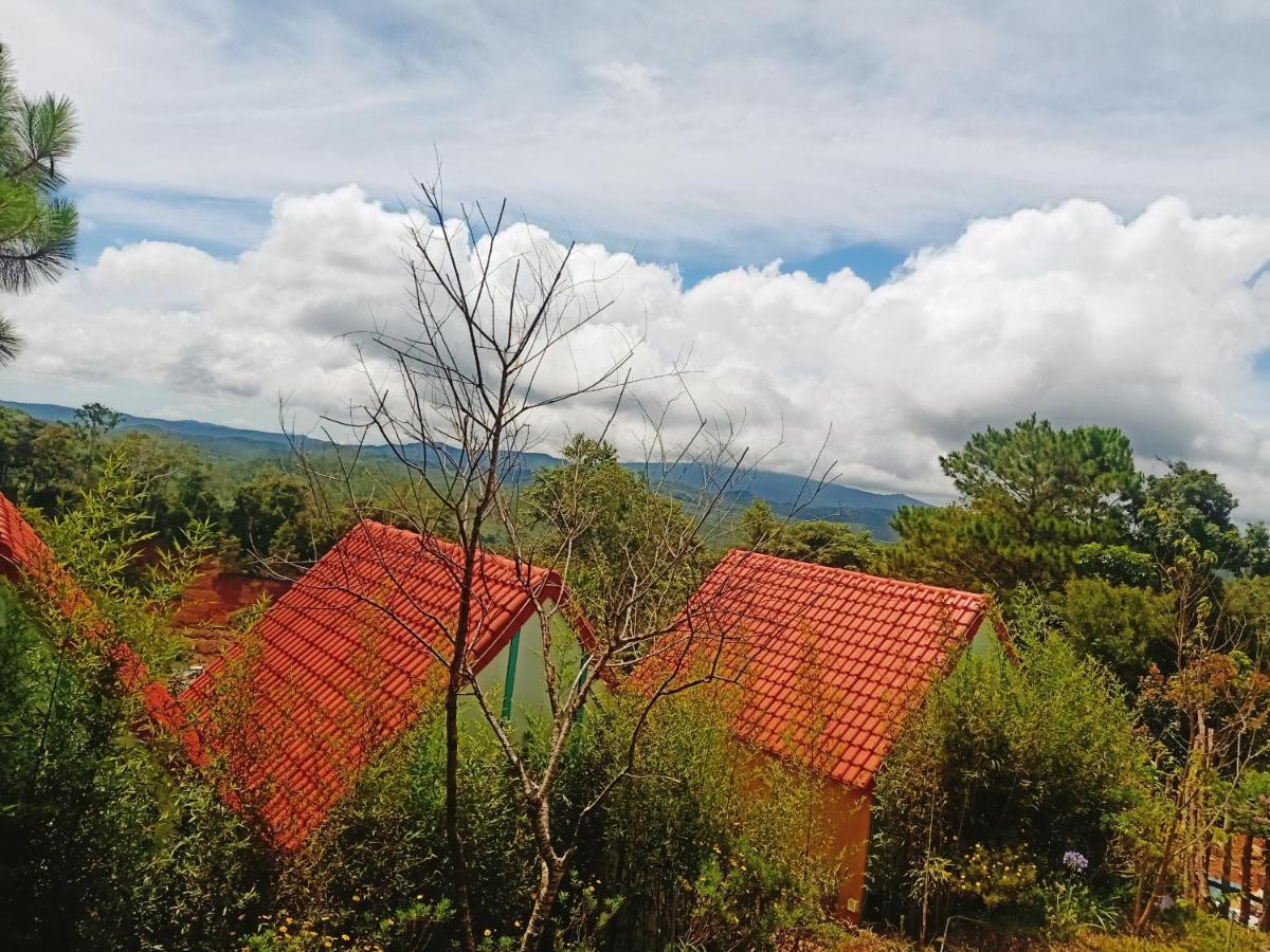 Paradiso Mangden Homestay *