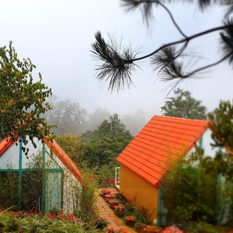 Paradiso Mangden Homestay