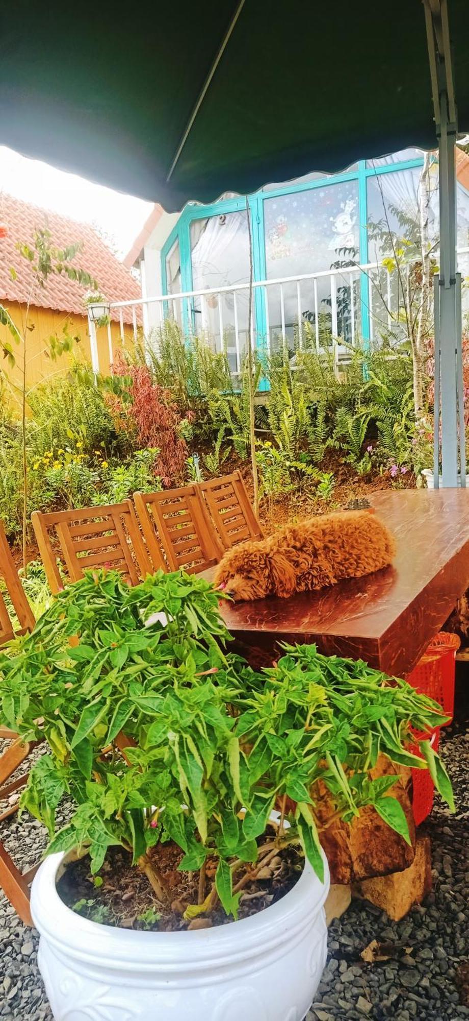 Paradiso Mangden Homestay Kon Von Kla